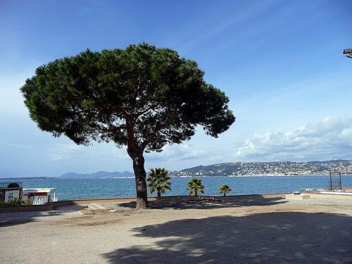 Appartement De Charme Coeur De Juan & Plages Antibes Exterior foto
